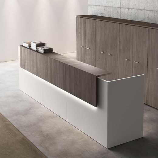 Modulo de Recepcion PAOLO R35