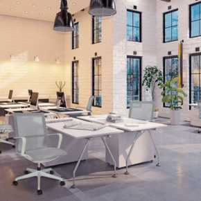 Sillon Ejecutivo BIO OHE-113