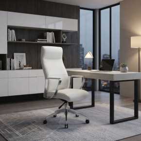 Silla Ejecutiva AC-10